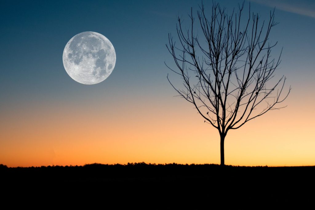 Mond Haare schneiden Mondphasen Kalender